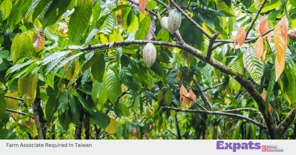 Farm Associate Required In Taiwan