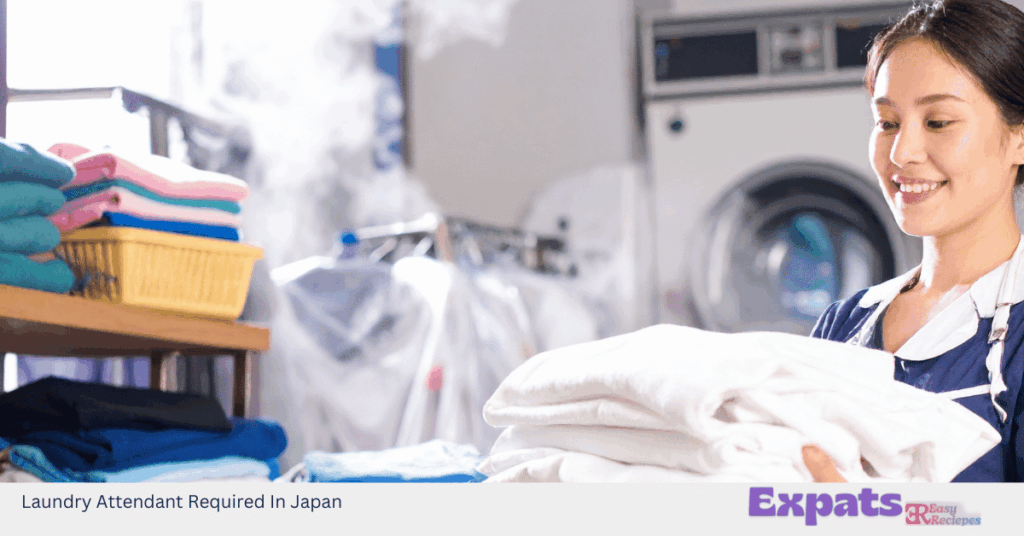 Laundry Attendant Required In Japan