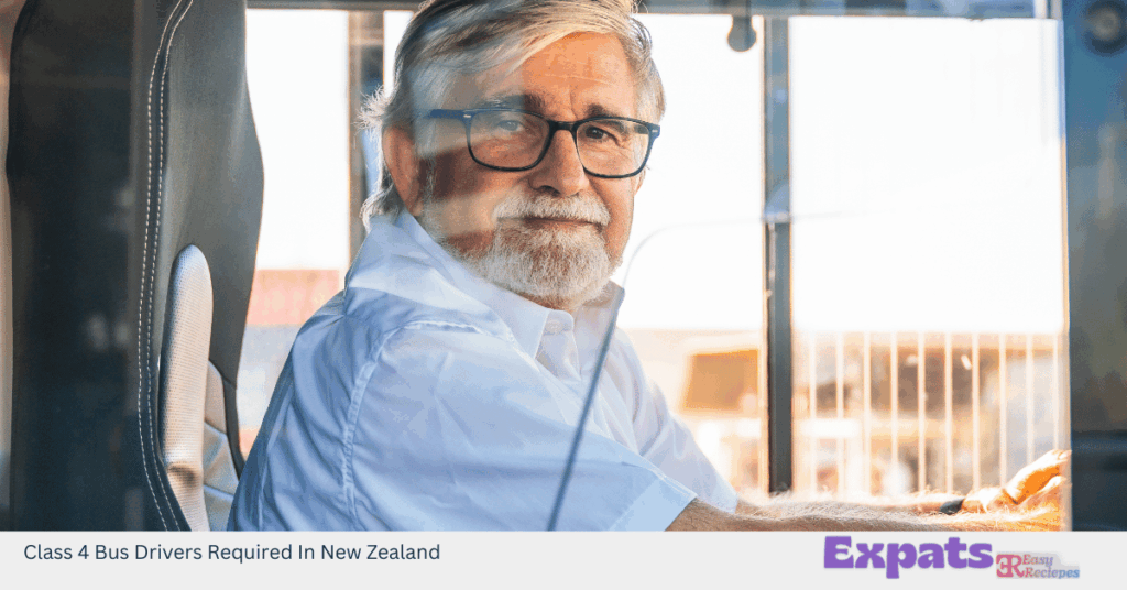 Class 4 Bus Drivers Required In New Zealand