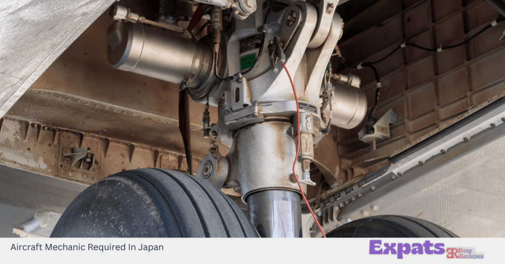 Aircraft Mechanic Required In Japan