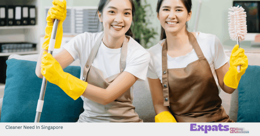 Cleaner Need In Singapore