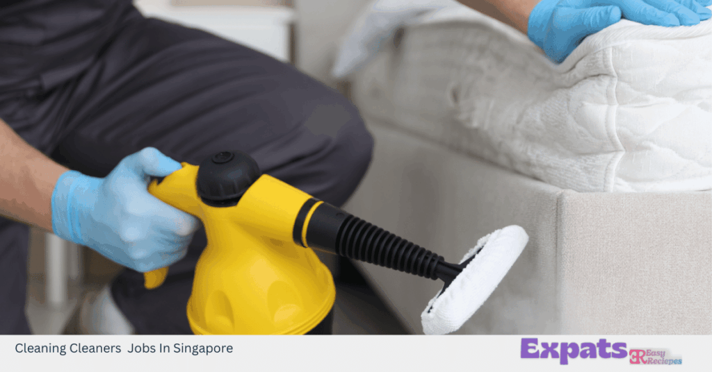 Cleaning Cleaners Jobs In Singapore