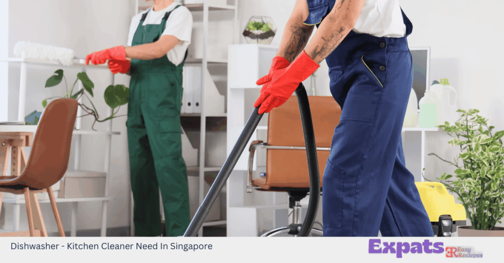 Dishwasher - Kitchen Cleaner Need In Singapore