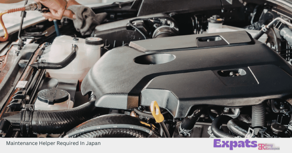 Maintenance Helper Required In Japan