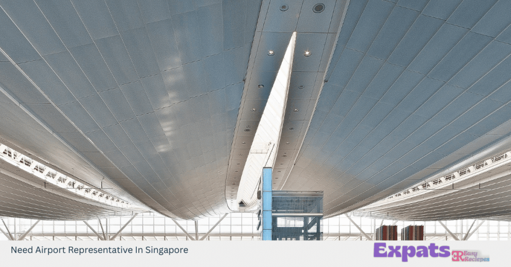 Need Airport Representative In Singapore