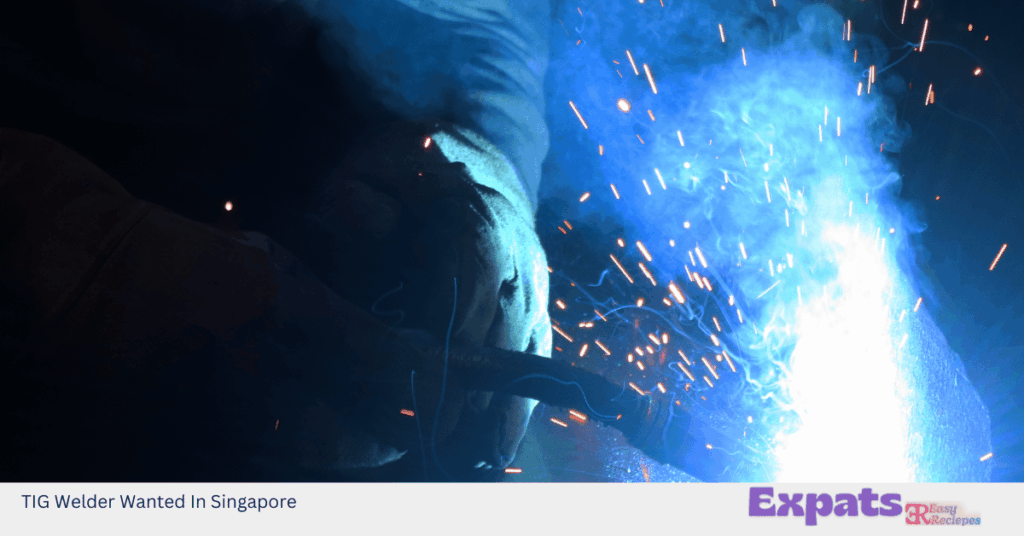 TIG Welder Wanted In Singapore